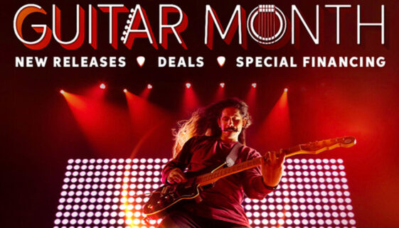 Danielle Doepke Design Portfolio - Sweetwater Project, Guitar Month Sales Promotion