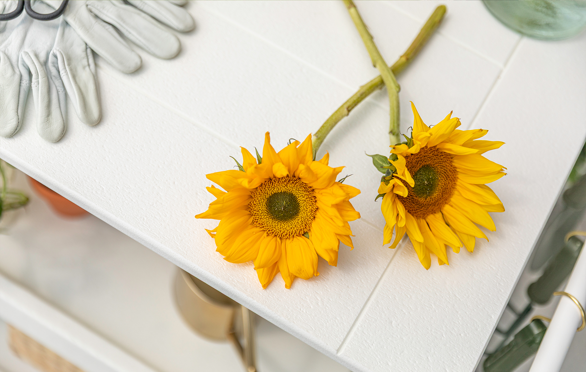 POLYWOOD Outdoor Furniture Bar Cart Product Launch Lifestyle Photography by Danielle Doepke